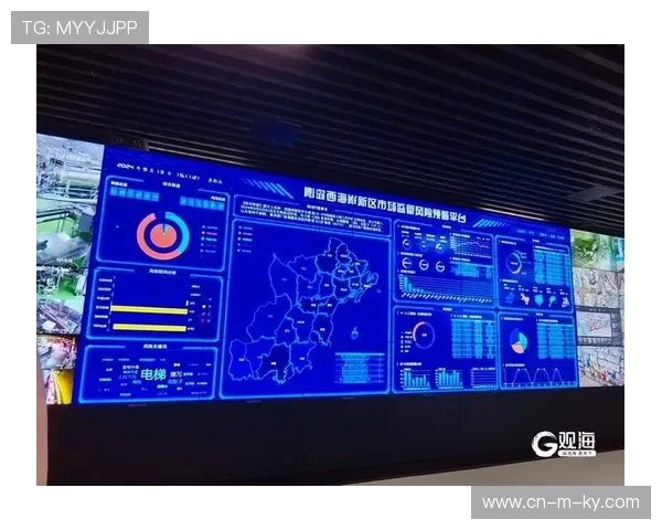 风险预警系统在当前阶段通过大数据分析实现潜在断链识别